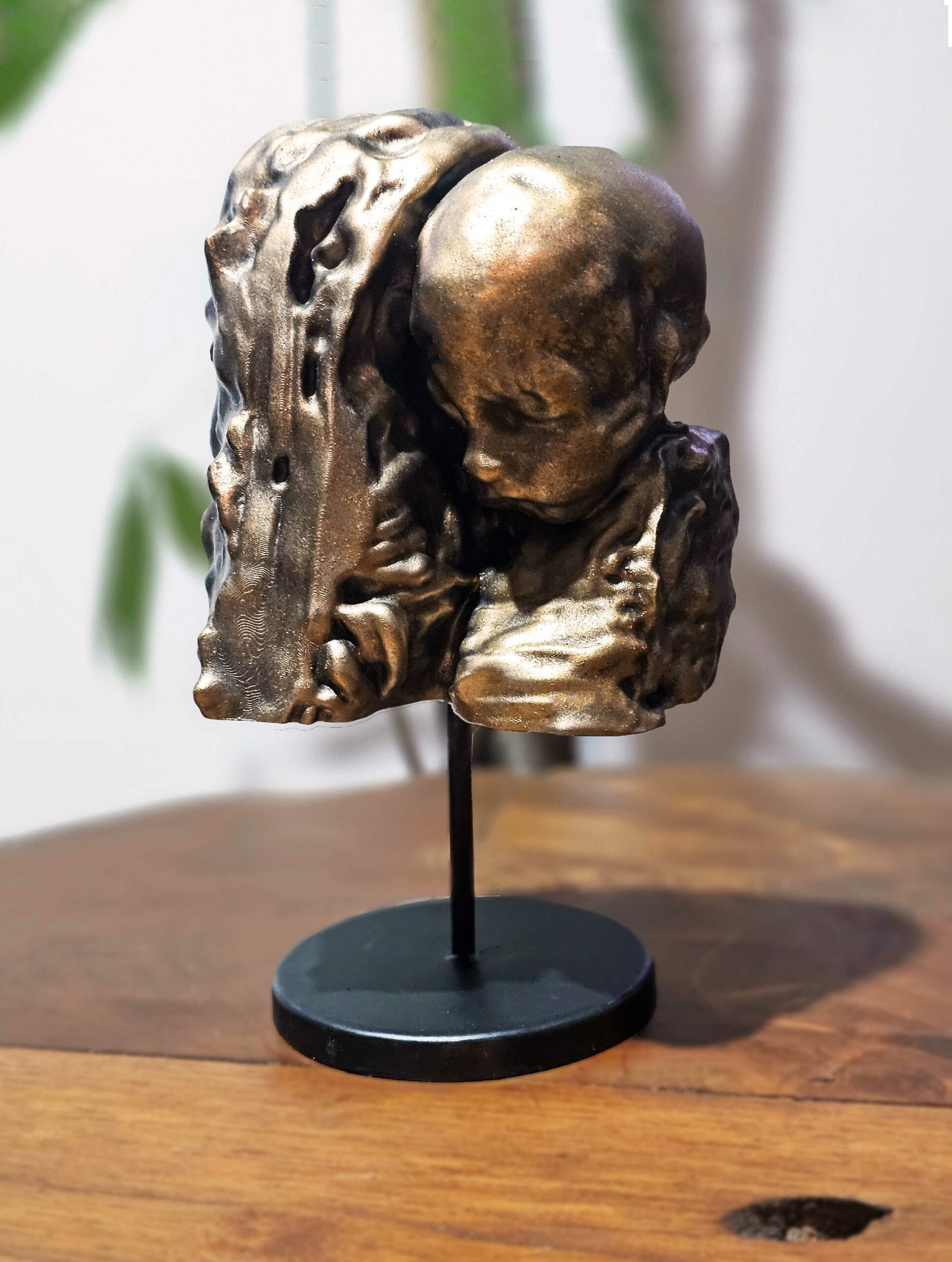 Echobeeld van 3D echo in het brons