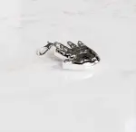 Bedel voor aan een armband van het het handafdrukje van je babytje in het zilver