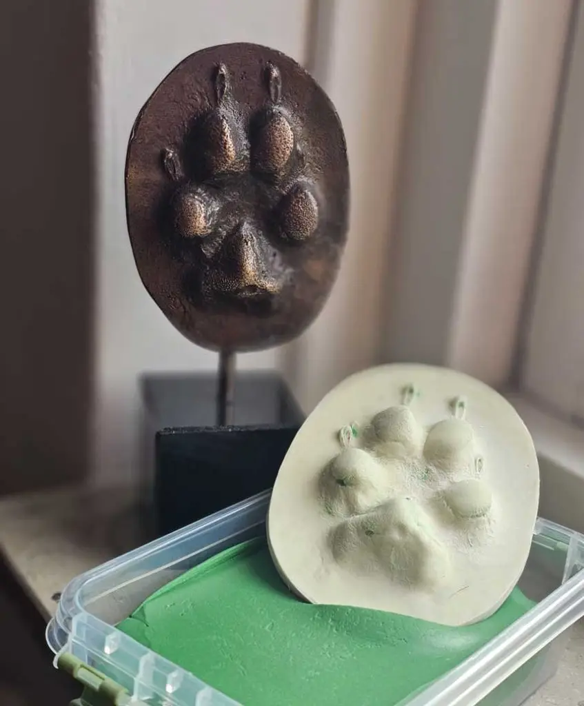 Pootafdruk gemaakt met klei in bronslook