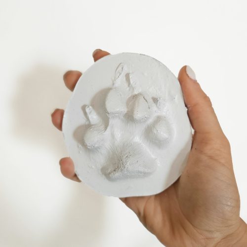 pootafdruk in acryl hond