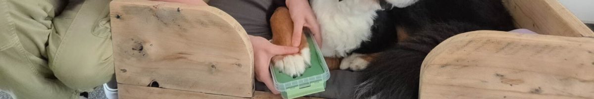 pootafdruk hond in kleibakje