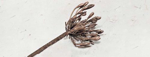 bloem in brons gegoten, een bijzondere trouwherinnering of rouwbloem