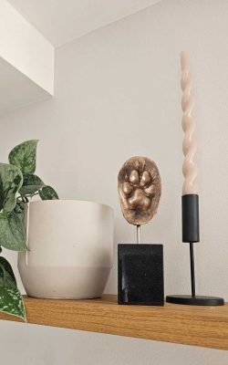 Hondenpoot in brons op een zwart stenen sokkel in interieur. Van je hond een beeldje laten maken