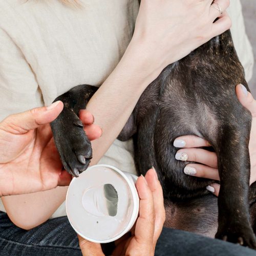 pootafdruk hond in alginaat