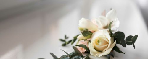 roos uit trouwboeket, trouwherinnering of rouwbloem