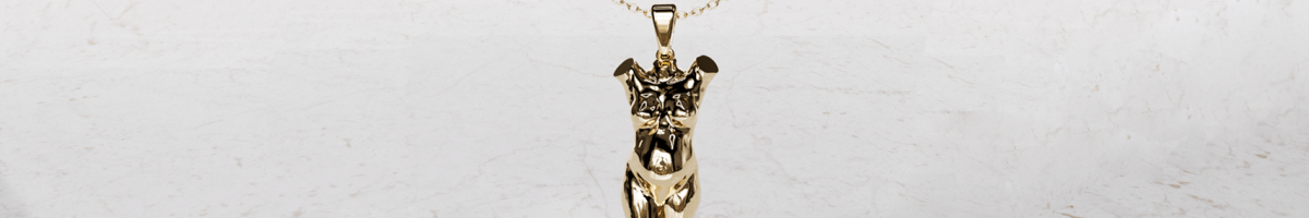 zwangerschapsbedel aan collier goud